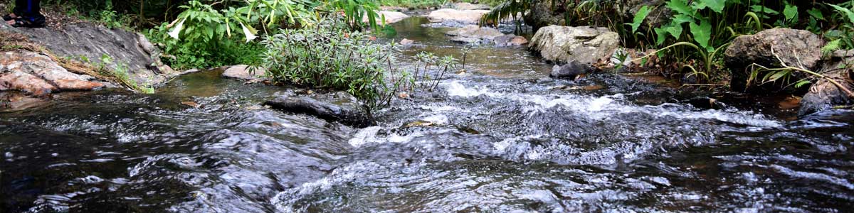 Mountain-trekking-in-Kodaikanal